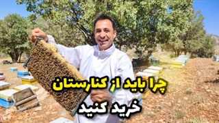 چرا باید از عسل کنارستان خرید کنیم؟؟