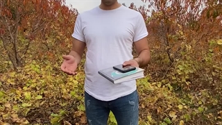 نهال انگور گرمسیری