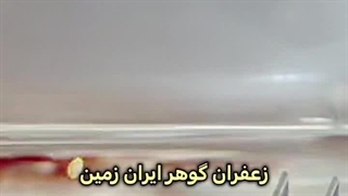 زعفران ایرانی در سریال کره ای
