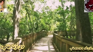 غزل / غزل فارسی / غزل شیرین رقص خیال از استاد غزل موسی الرضا طایفی اردبیلی