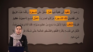 آموزش گرامر معرفه و نکره در عربی (التعریف و التنکیر)