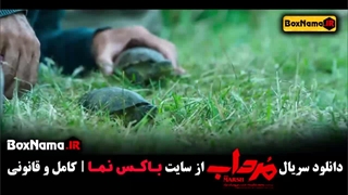 سریال مرداب پانته آ پناهی