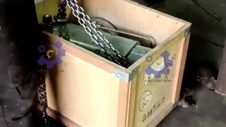 تولید شلنگ یکبار مصرف قلیان 09125931997