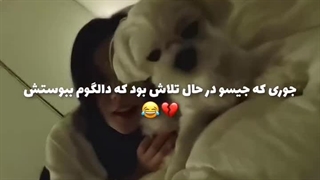 تیکه ای از ولاگ کیم جیسو