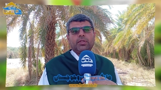 همزمان با سراسر کشور سرشماری عمومی کشاورزی در استان سیستان و بلوچستان ،شهرستان دلگان شروع و تاکنون ادامه دارد