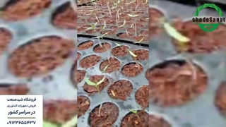 کاشت گیاه در سینی نشا - شید صنعت