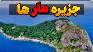 دانستنی جزیره مار ها:عجیب ترین و خطرناک‌ترین جزیره دنیا که پر از مار های سمی است.
