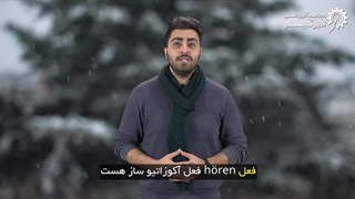 تفاوت ساختار افعال مشابه در آلمانی