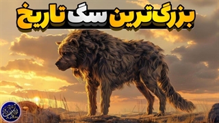 بزرگ ترین سگ تاریخ که روزی روی زمین پرسه میزده!
