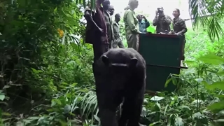 لحظه زیبای آزادسازی حیوانات