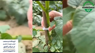 کاربرد گیره بوته - شید صنعت