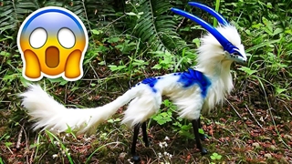 حیوانات عجیب: 10 تا از عجیب ترین حیوانات جهان که باورتان نمیشود واقعی باشند