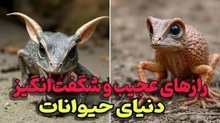 حقایق عجیب و غریب حیوانات که شما را شگفت‌زده می‌کند!