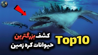 بزرگترین جاندار زمین چه کسی هست ؟ ده تا از بزرگترین جانوران کل تاریخ کره زمین !