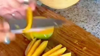 آموزش خشک کردن ابنه با دستگاه خشک کن میوه