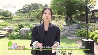 پشت صحنه سریال خانواده انتخابی قسمت آخر