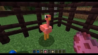 More birds IN MINECRAFT!!