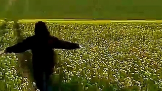 یه ادیت به افتخار خودم:)