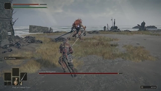 لوکیشن باس فایت Leonine Misbegotten | وید گیم