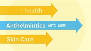 Your Health, Our Priority – Discover Trusted Medications at DosePharmacy!