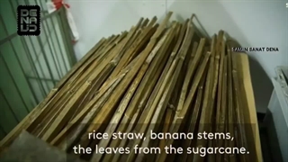 مواد اولیه ظروف یکبار مصرف گیاهی