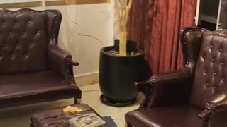 ZehneSaramad Technical and vocational school آموزشگاه فنی و حرفه ای ذهن سرآمد 2