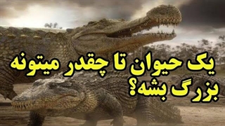 زمین تا چه مقدار وزن را در یک موجود زنده تحمل میکند و اجازه زندگی میدهد؟