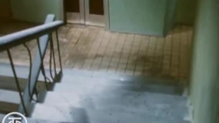 Домовенок Кузя Мультфильм Серия 3 Сказка для Наташи