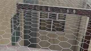 0912.25.77.948 نصب توری مرغی بستن و پوشاندن تراس بالکن نورگیر پاسیو حیاط خلوت کل استان تهران و کرج