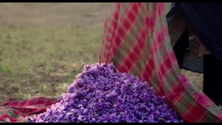 دانلود فیلم برگ جان