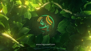 بسته بندی برنج هاشمی ،حاج یوسف