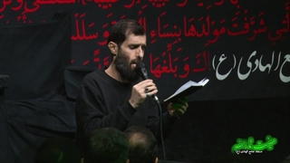 چه غوغایی چه زهرایی - سید علی مومنی