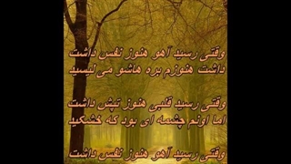 ابی - شکار  / Ebi - Shekar