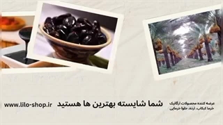 خرمای کبکاب