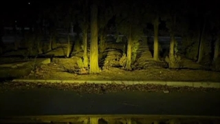 متروک - مرد بارانی