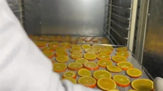 اموزش خشک کردن پرتقال با دستگاه خشک کن 09138900047