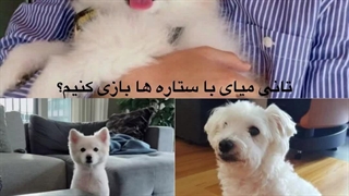 تانی 
