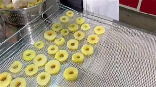 آموزش کامل خشک کردن سیب 09138900047