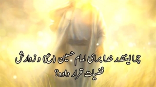 ملاقات سید بحر العلوم با امام زمان (عج)؛ علت ثواب عظیم زیارت امام حسین (ع) چیست؟