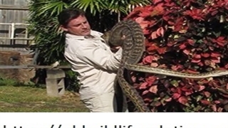 Fauna Spotter Catcher Queensland