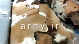 تنوع محصولات در فروشگاه اینترنتی آرنی