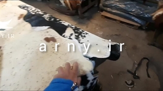 پوست های تزئینی گاو