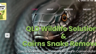 Spotter Catcher Cairns