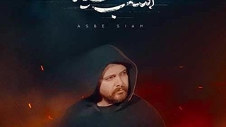 سینا پارسیان اسب سیاه