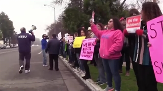 حماس هست، جهاد هست، حزب الله هست، جوانان مبارز کرانه باختری هستند و ...