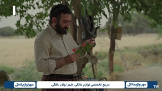 سریال فراری فصل اول قسمت 14