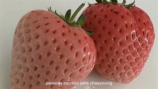 وایب توت فرنگی میده