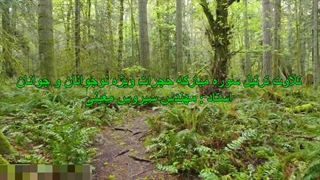 ترتیل سوره مبارکه حجرات ویژه نوجوانان و جوانان، استاد : مهندس سیروس معینی