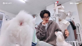 ولاگ جیک انهایپن یک روز در مرکز مراقبت سگ ها با زیرنویس فارسی EN_LoG