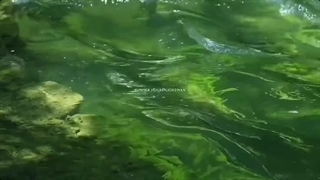 Summer is the only season when I don't do anything